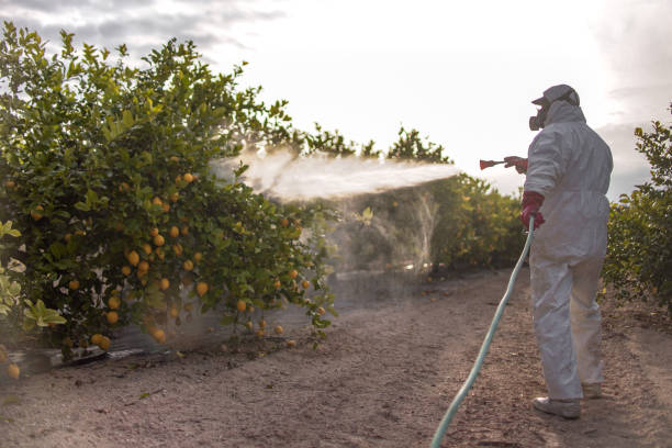 Best Affordable Pest Control Services  in Port Ludlow, WA