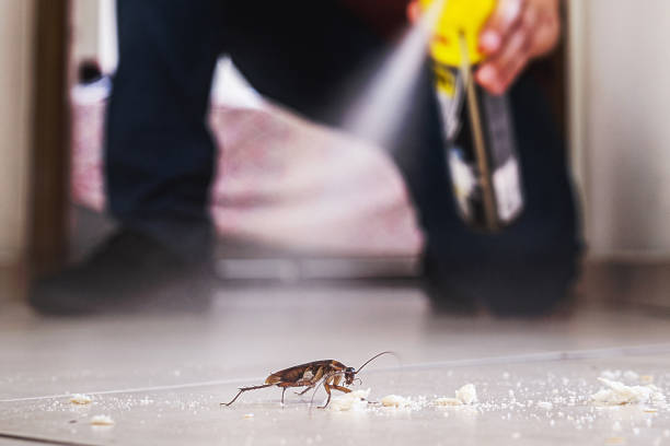 Best Cockroach Control Services  in Port Ludlow, WA